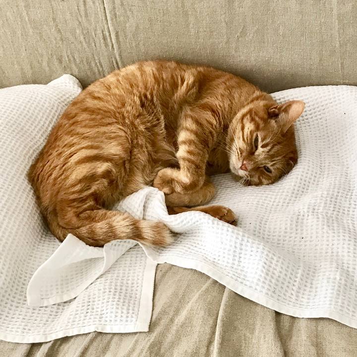 002a3378 3a77 4756 9c8d 2f30356b1e9c