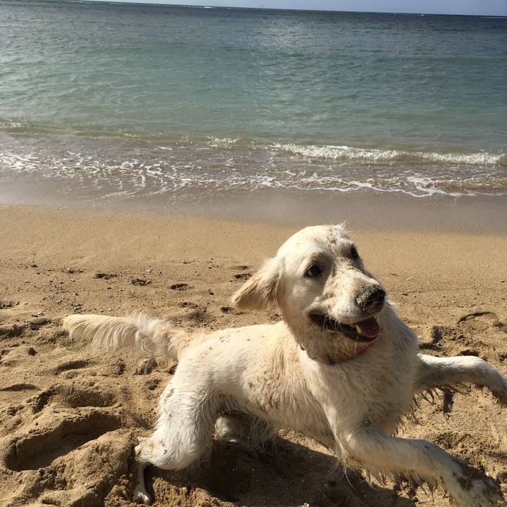 002a52bd d8bc 4570 a4df a5d4bdd94704