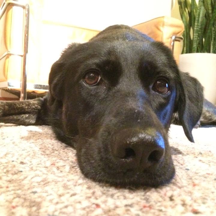 002ab848 4043 4446 87d5 01f3cf9db2d9