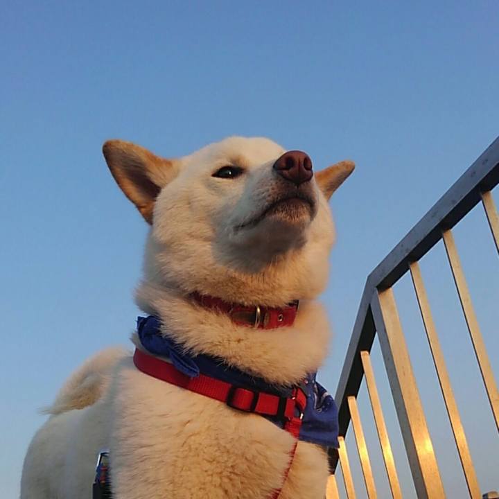 002aebdb dccd 46d1 b05a dee14f61dfce