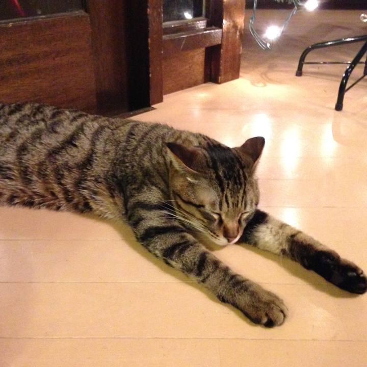 002b1bfb 331a 4fb1 ab92 4fb9cfb41eeb