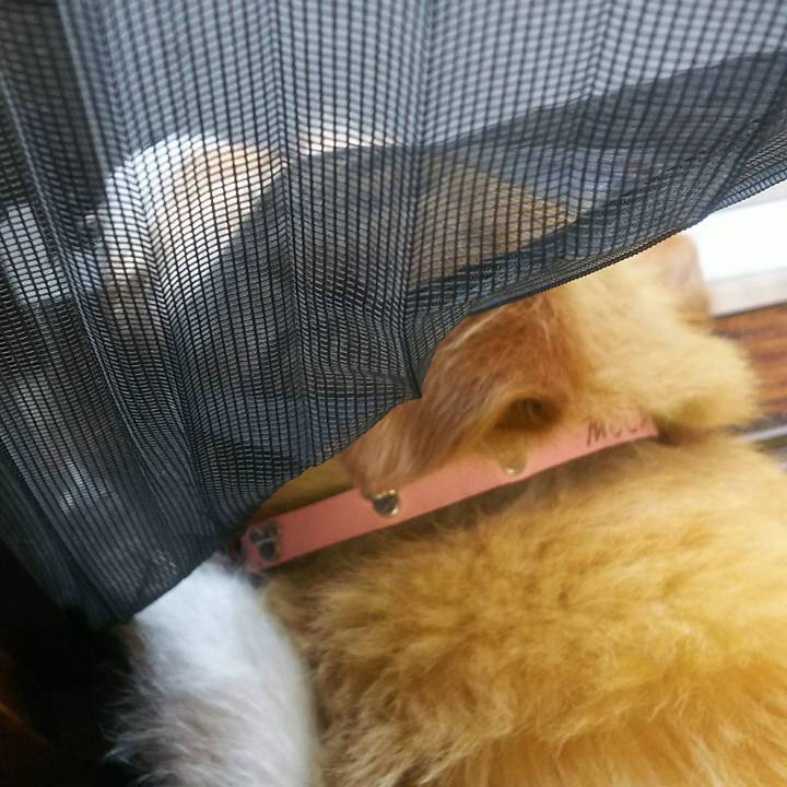 002b5830 89a3 4ae0 9c86 5277c8c2bf3c