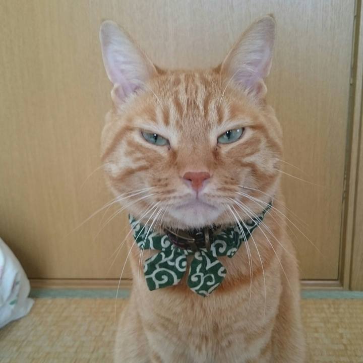 002b8927 a272 4d7d b890 4828d946aaa9