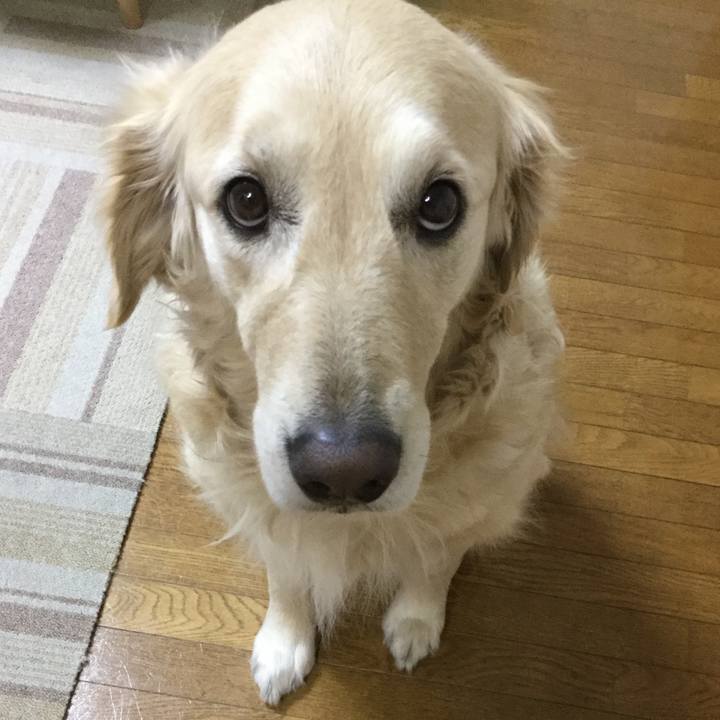 002c339d 3f7c 4826 97d1 2e8ecc8174de