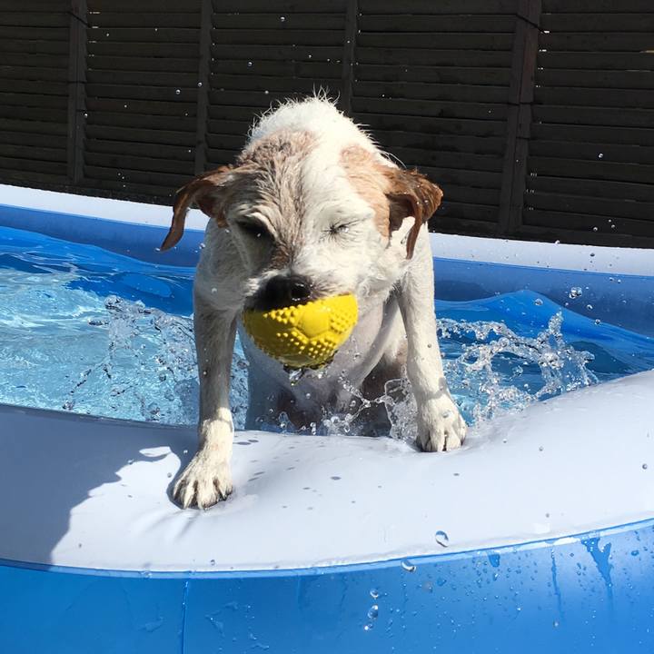 002c4b38 6535 4234 9a91 b8c75348d5d0