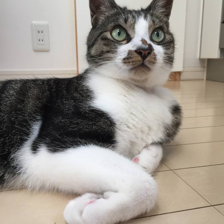 002c7fc8 f6d3 47f3 b671 bcb443c48bad