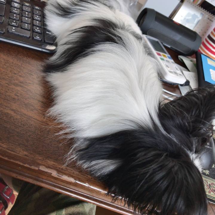 002de65c 786c 49a9 a3ed 3bdb8927a25a