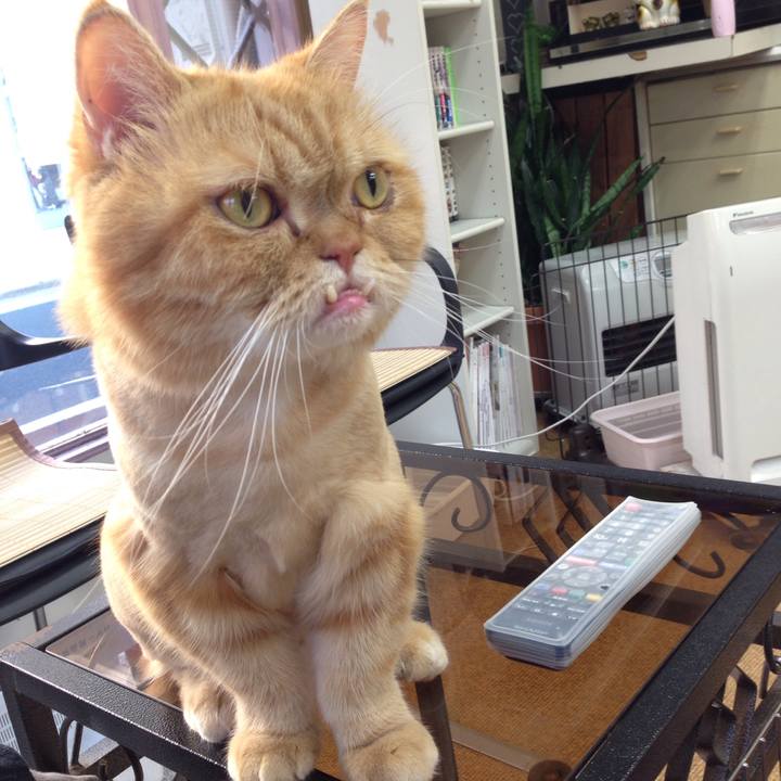 002e084f c050 497a aef6 6e4e055d7482