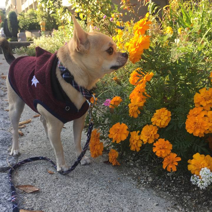 002f5832 9779 4d07 807b 2c5916142d75