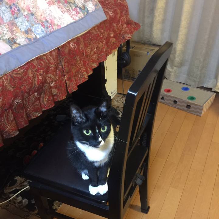 002fdd63 8267 4080 83ad 3a424c9e9d60