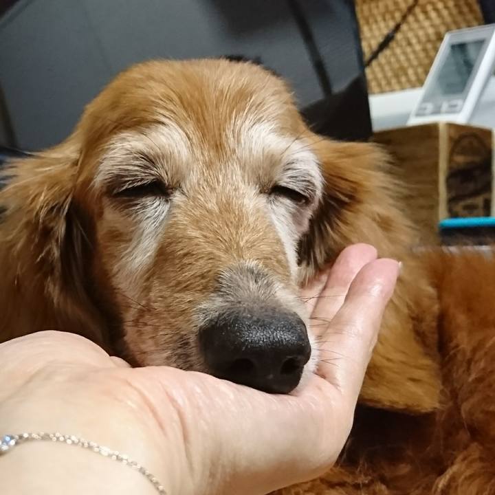 00303f13 220c 404a a048 324fccfe8cff