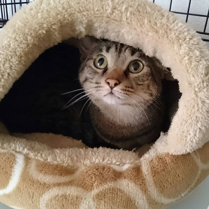 00307215 7c65 4233 94c7 dbcf8ea6ee22