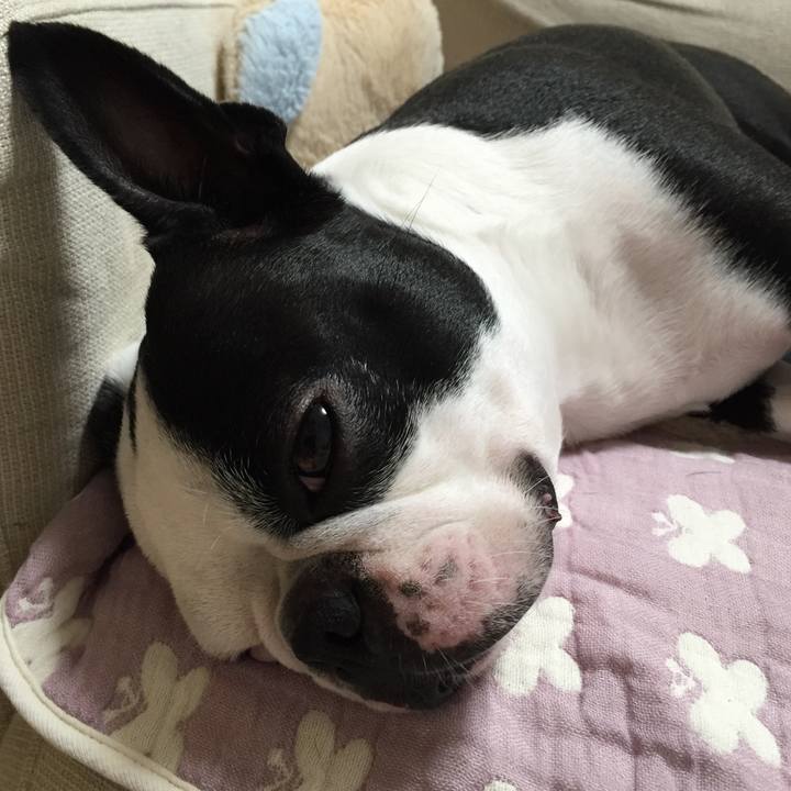 00308780 4213 4668 8a61 98af5c769280