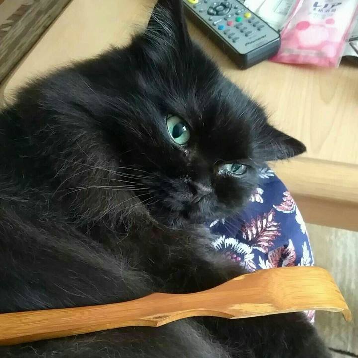 0030d46c 55b3 4b1a 97f6 a214e12a68d4