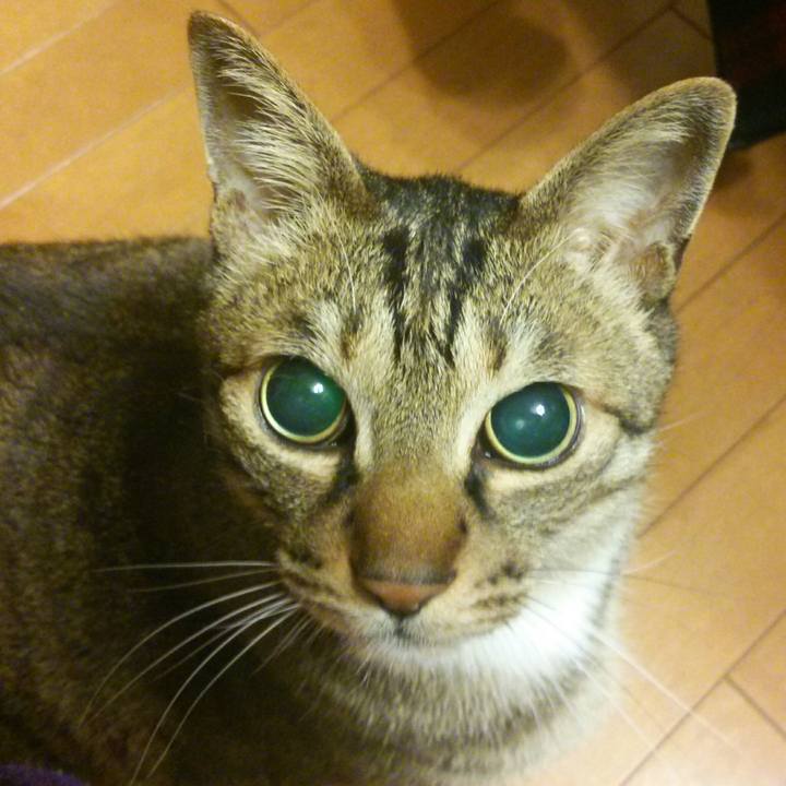 0032046c c9d7 479a 9dd0 42aebc3858b3