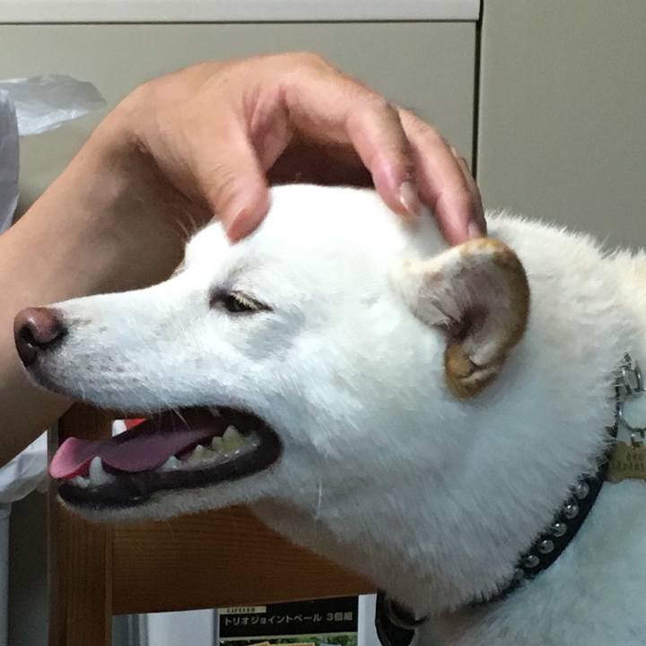 00326fab bb71 4cb9 8b6e 636e65fee297