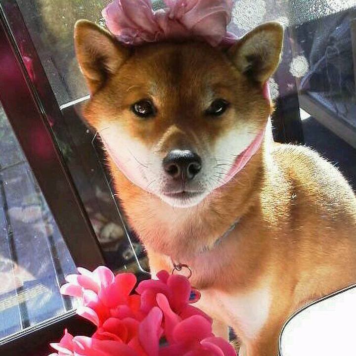 0032b4f9 f3d2 4f2e bd81 21e99784377e