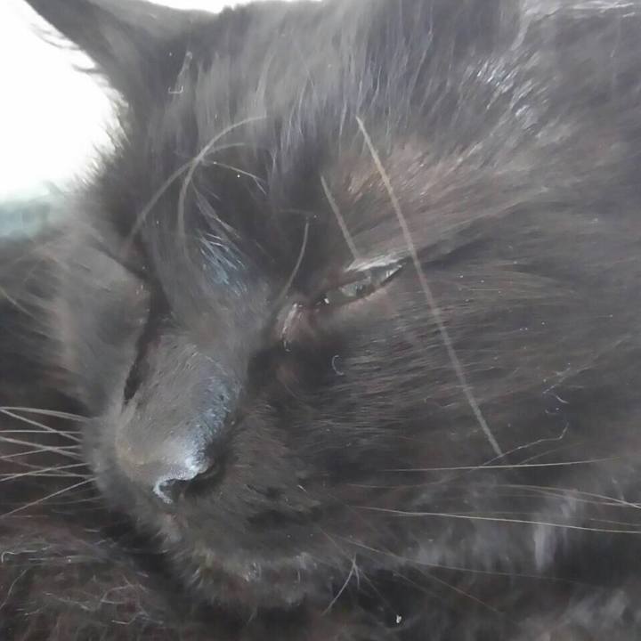 0032e47b c4ad 4543 b340 08aa449bd863