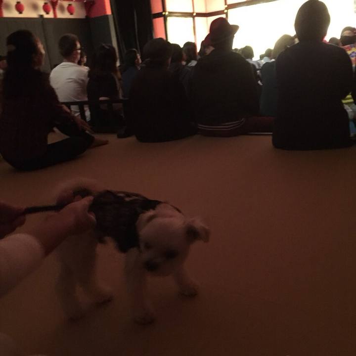 0034e95a fefc 4cea 8159 794096f2b799