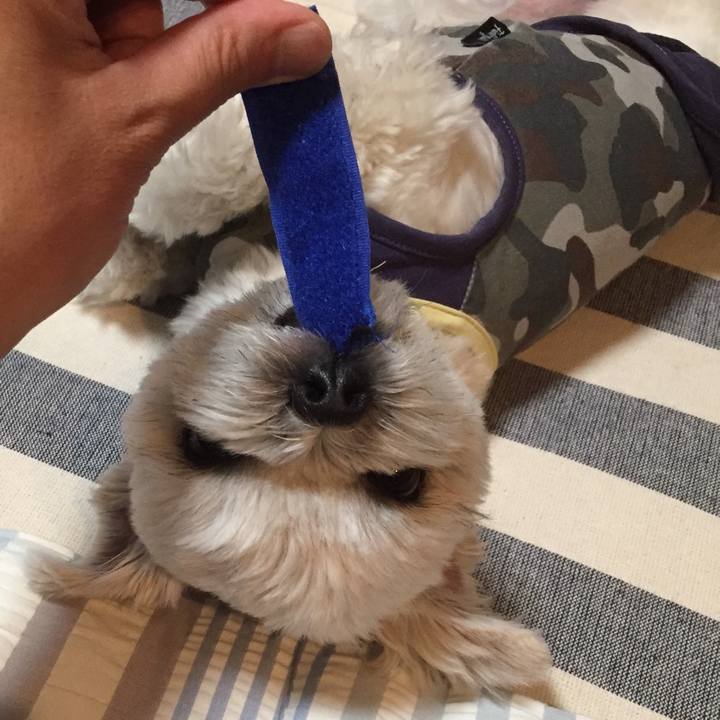 003520cc fb65 4110 b4f9 2a2f618c5c83