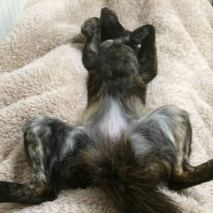 003553ed 0718 4b3b 9e65 1050259537b3