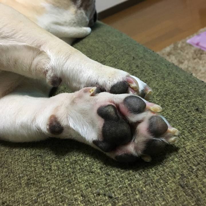 0035c889 88b3 465c b47b 830bbb2fa183