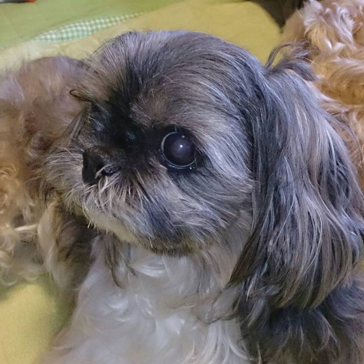 0035ce94 1c3f 4e5a b482 58cd39a71229