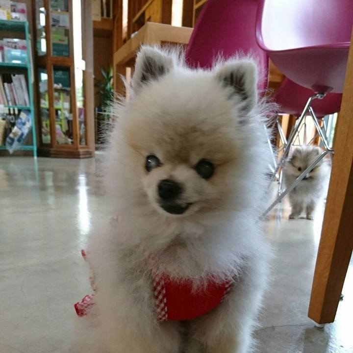 0035ffbb 4a3b 44bd 9953 095a417cfcb6