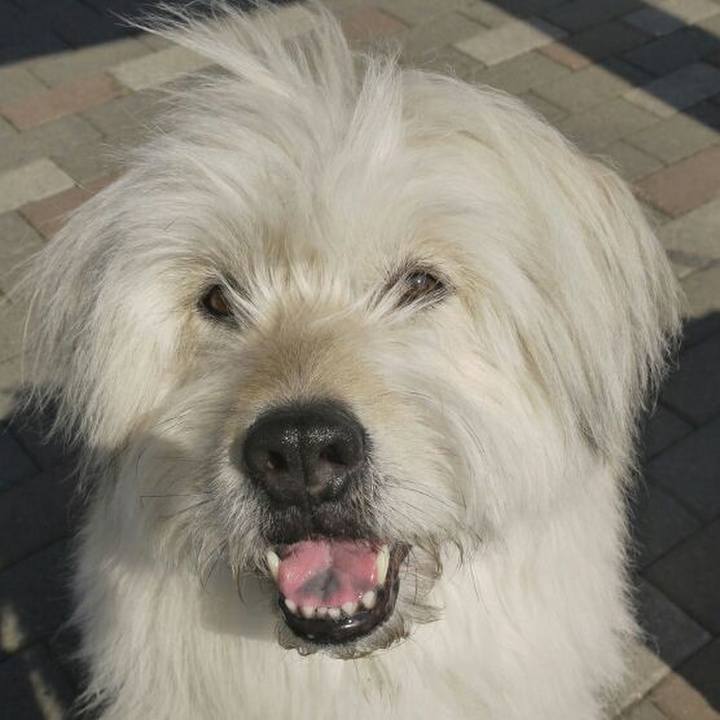 00366bde 74ad 45dc 9ffc 85a85e5661cc