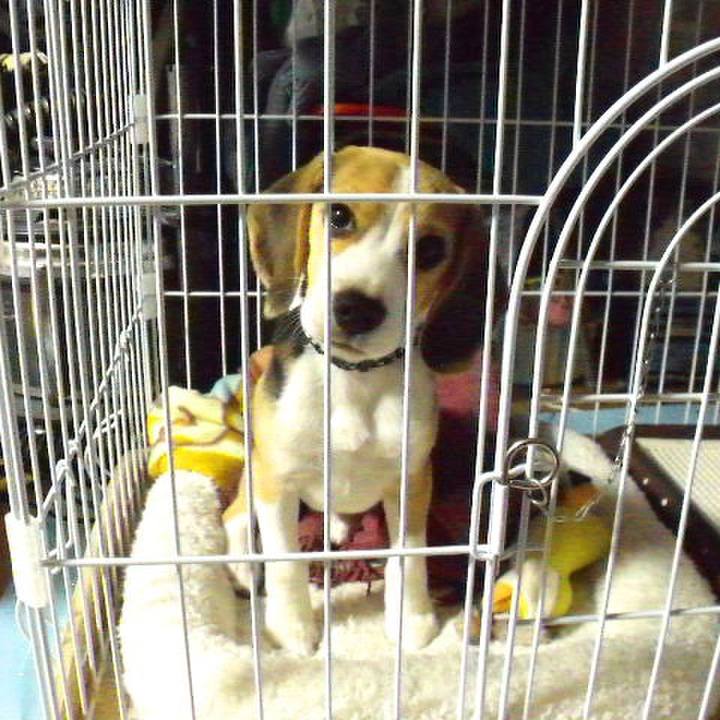 00377e01 e647 45cb ab4a d83f7377bc6c