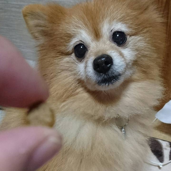 00378feb 00d3 4ef3 b6e7 8e0a8584d593