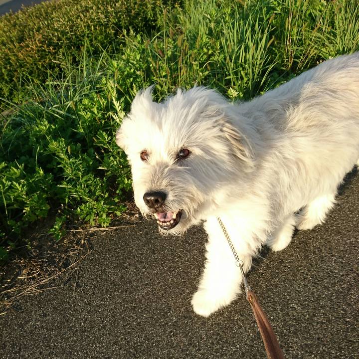 0038b6db 4e18 400b bf32 f285a785563e