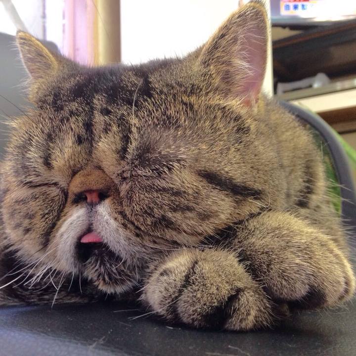 0038bbec 952d 45d3 b9c4 21593cdc0cad