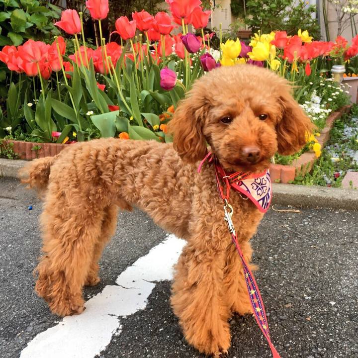 0038c9fc f0cb 4d30 a6a6 b30898b7a01d