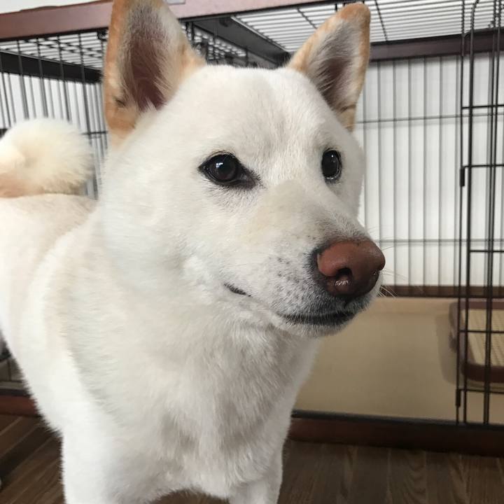 0038cfa0 eaf1 44c3 a259 ab93cc20f066