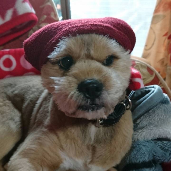 00392160 8988 4e75 a450 aaa32d68df46