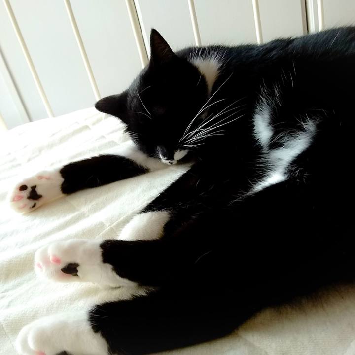 00397a15 683c 4409 8330 834de7e6d52e