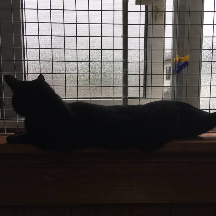 003a4b37 a01d 4114 8ede 7f224f0edba4