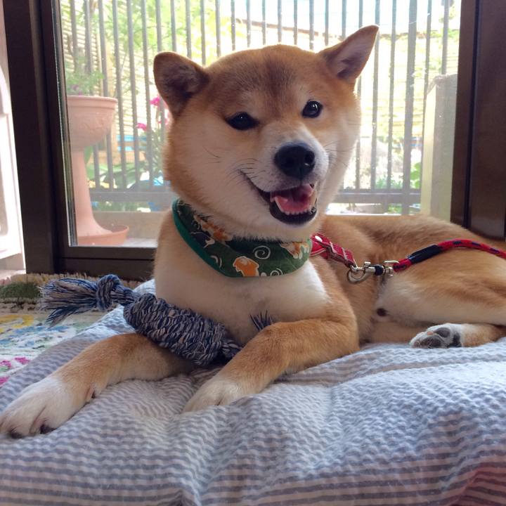 003a4f6b e117 4a58 90fa e0a977c72328