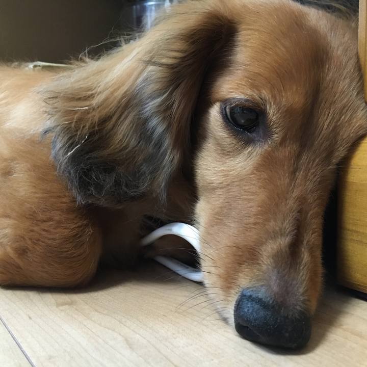 003a76b8 df78 494c 93f3 6df1737b5893