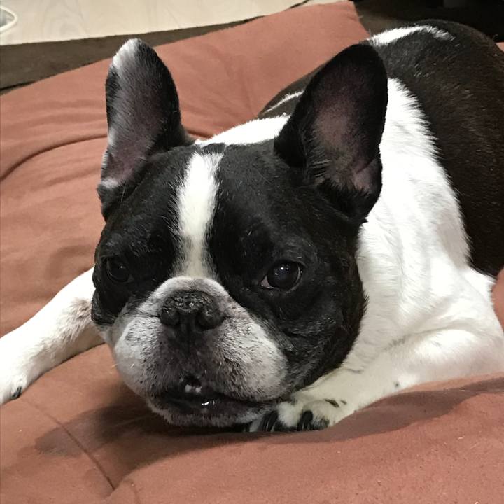 003aa333 dc26 4c47 8e9f 2de8a9a99da2