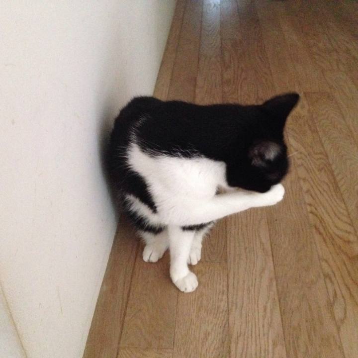 003ad2f6 f645 4e54 9c11 75df26a46092