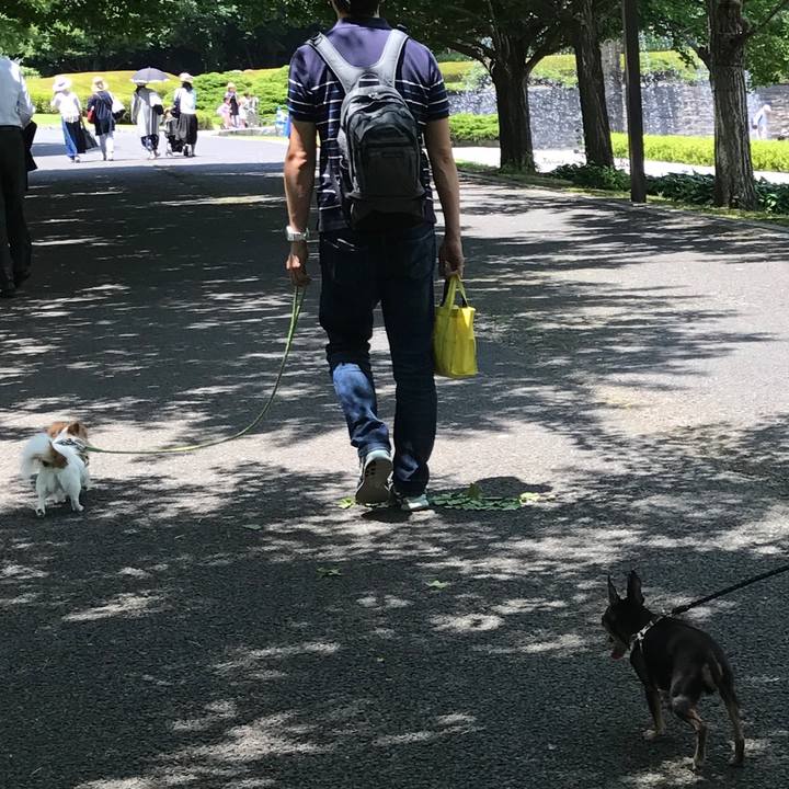 003ae681 8814 46e0 a583 e968e11b95b6