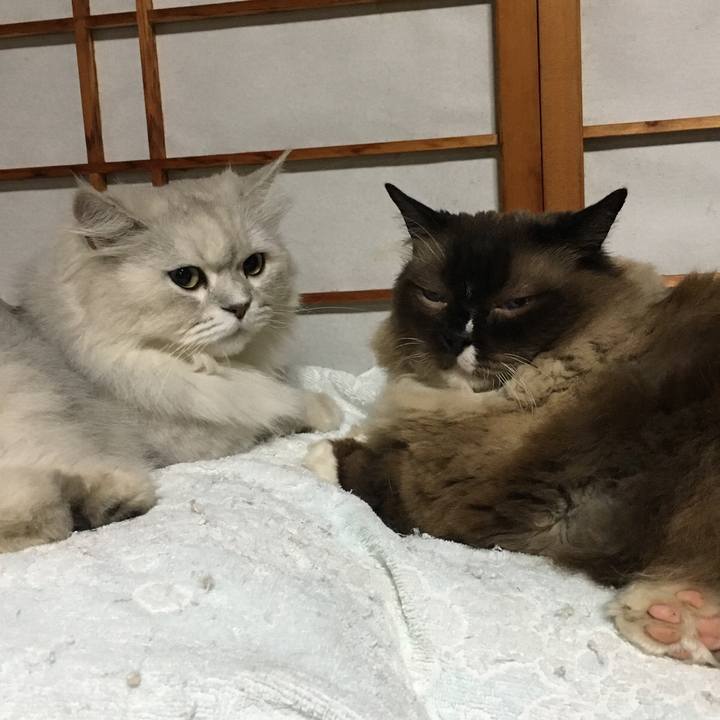 003bd1fd 4dfc 465e a41a 933ae1540004