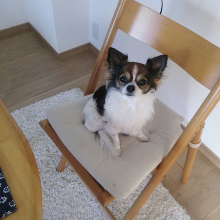 003c1465 0c01 42b6 9252 825109c51c4e