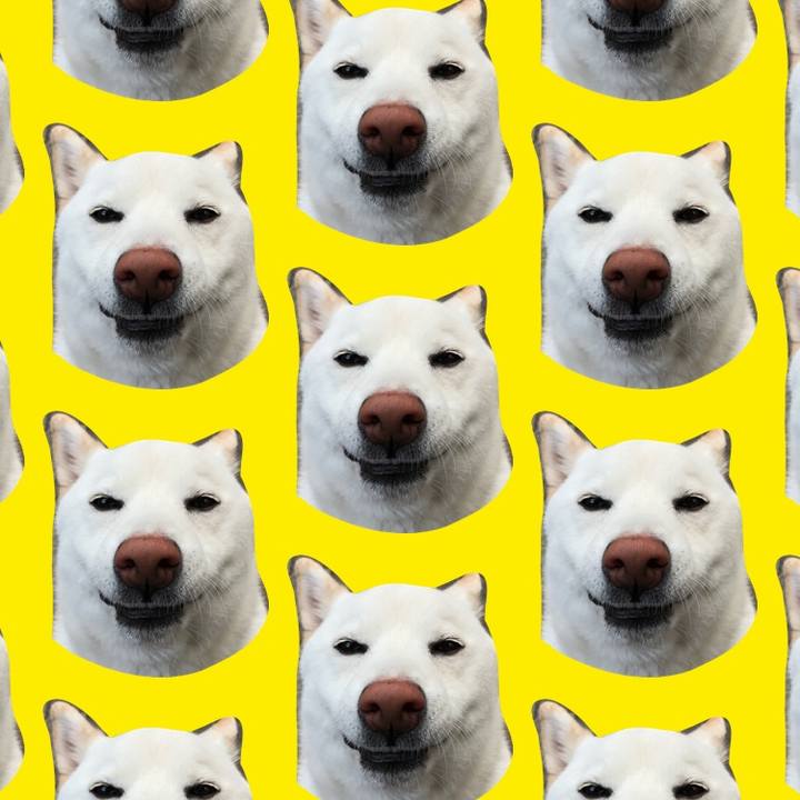 003d0098 76d4 4f2e 85ca 3d7dbca9ec00