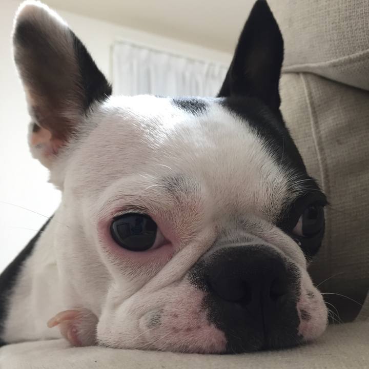 003d8c4b bd68 4f5b 9eb0 baceb2dc1351