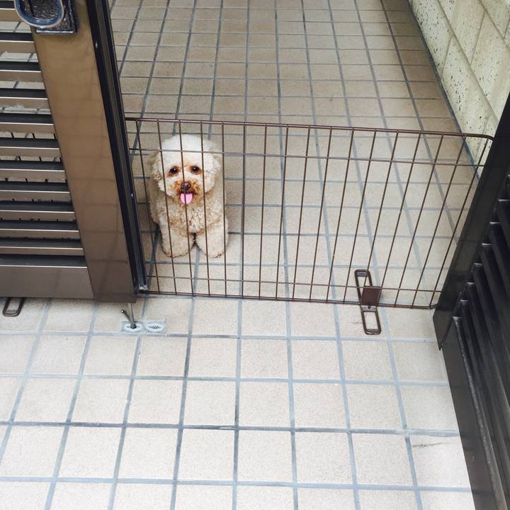 003daf00 7842 4daf bc35 ee752355c42d