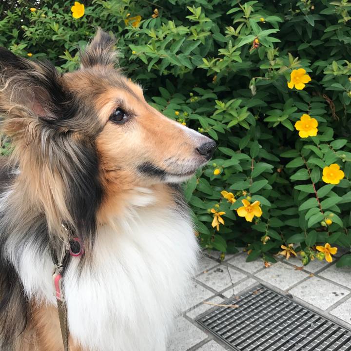 003dba76 10d4 4669 8b85 02e5b45212d5