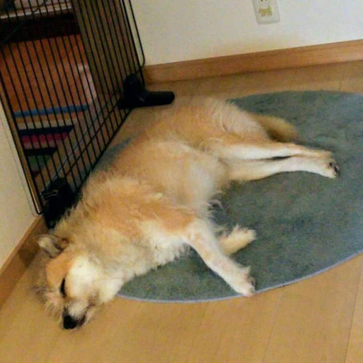 003e7006 4457 41b0 8018 8b05f3447ea6